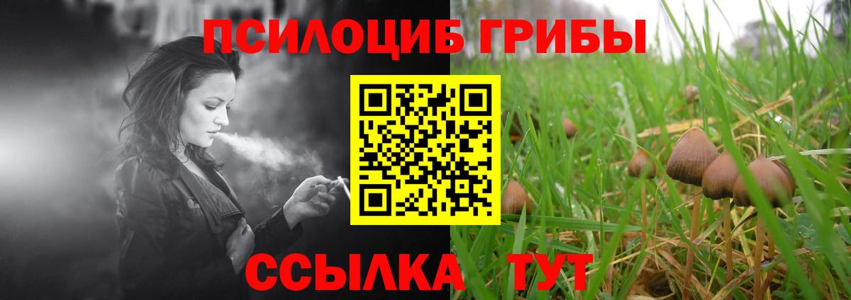 Качканар  Галлюциногенные грибы мухоморы  Вход с VPN 